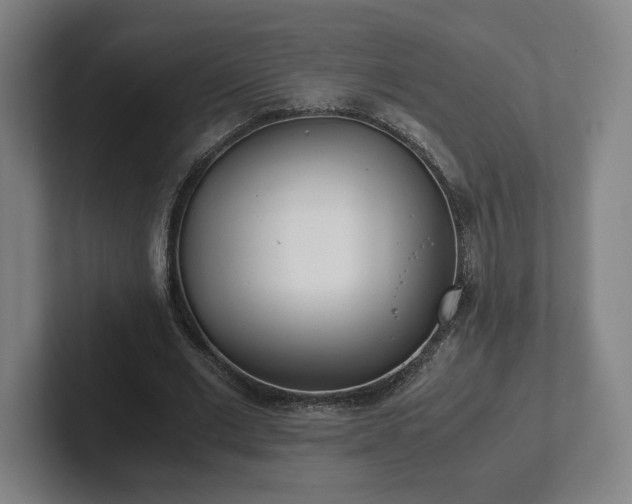 X0000101990677200807251226