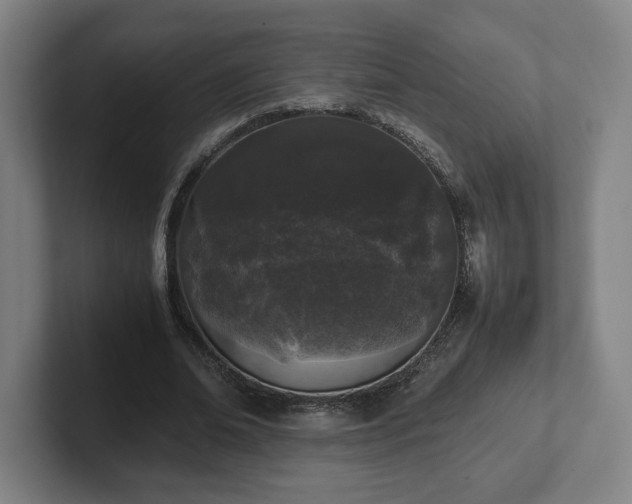 X0000101990678200807251226