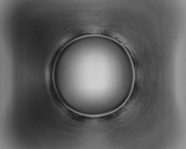 X0000101990679200807251226