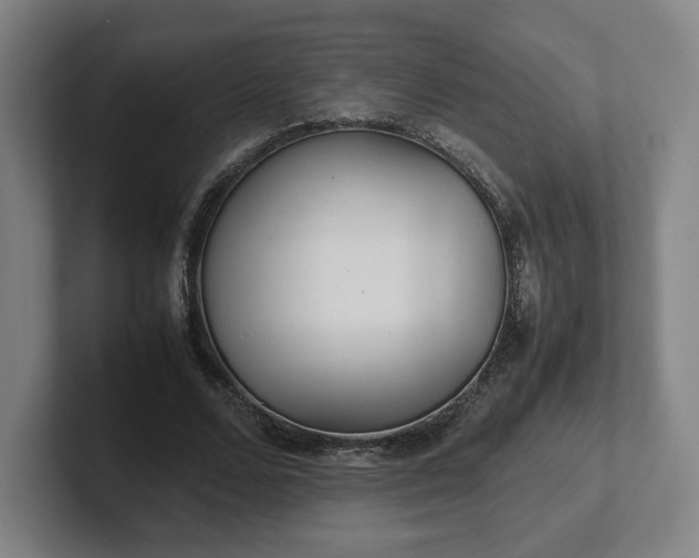X0000101990680200807251226