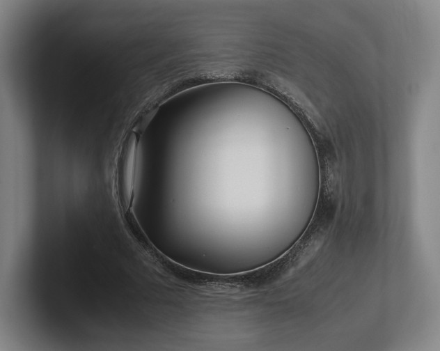 X0000101990681200807251226