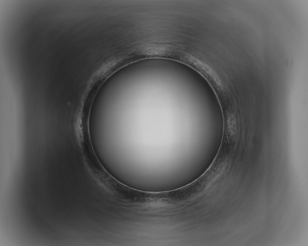 X0000101990682200807251226