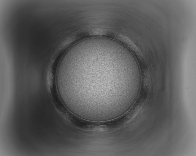 X0000101990683200807251226