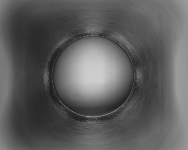X0000101990684200807251226