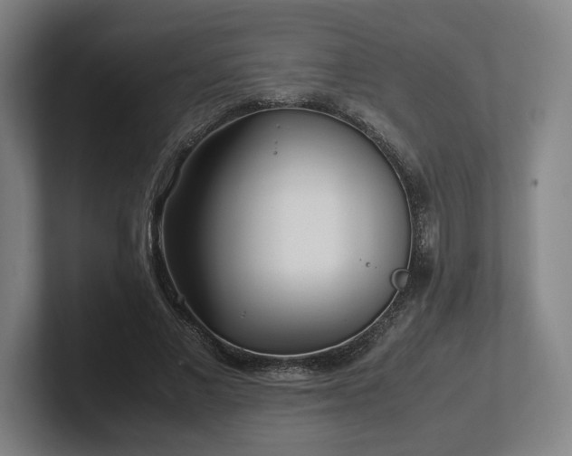 X0000101990685200807251226