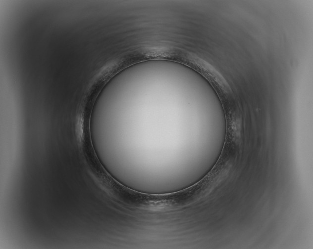 X0000101990686200807251226