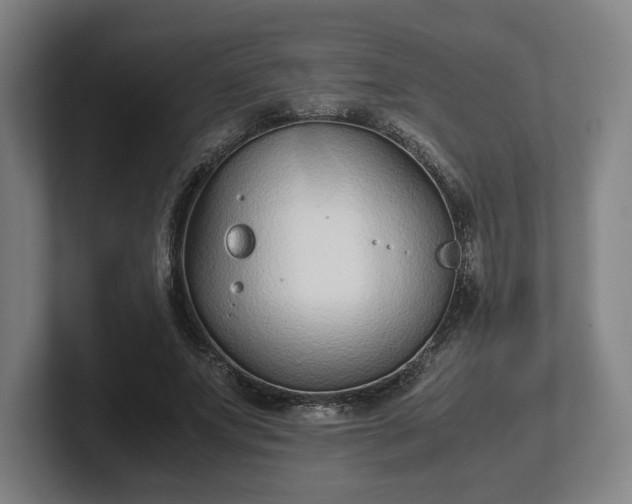 X0000101990687200807251226