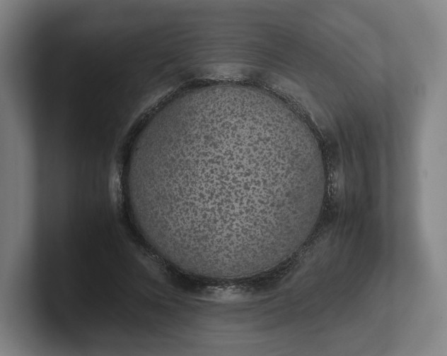X0000101990688200807251226