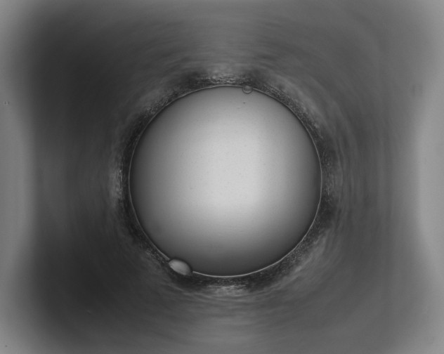 X0000101990689200807251226