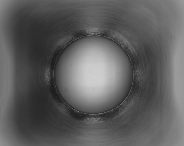 X0000101990690200807251226