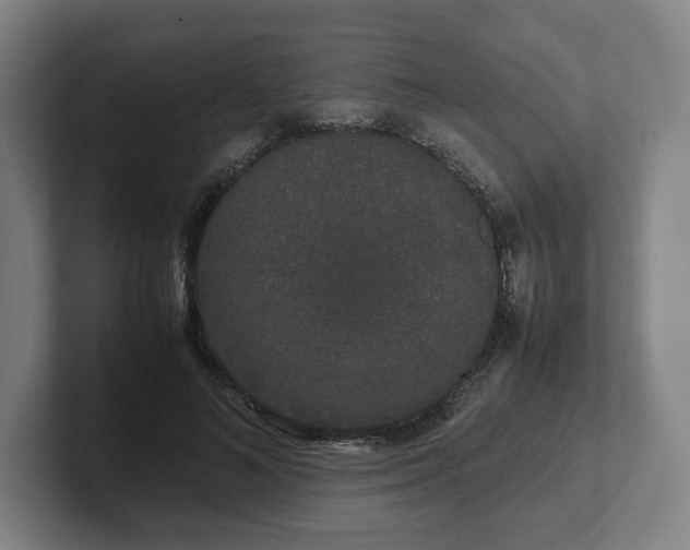 X0000101990692200807251226