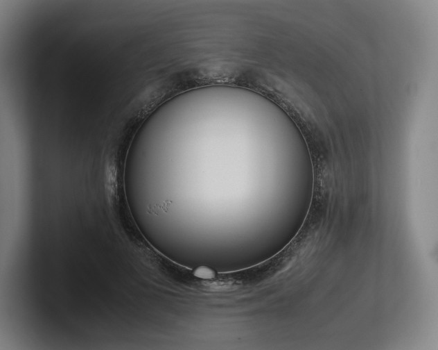 X0000101990693200807251226