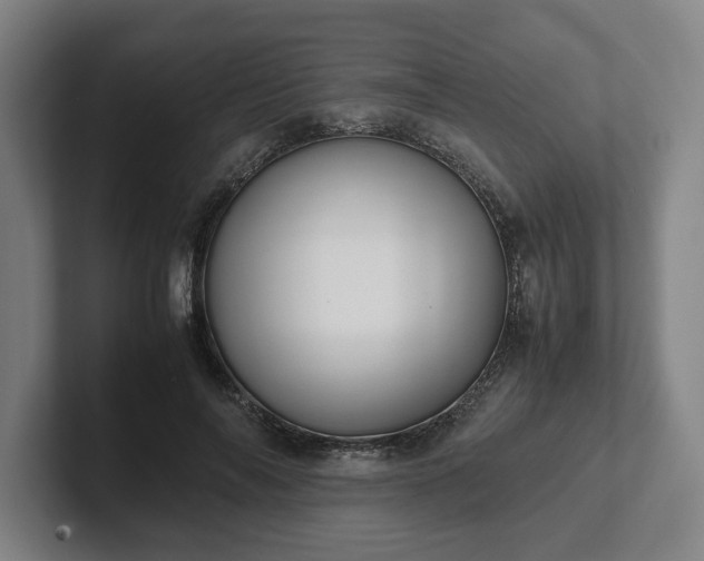 X0000101990694200807251226