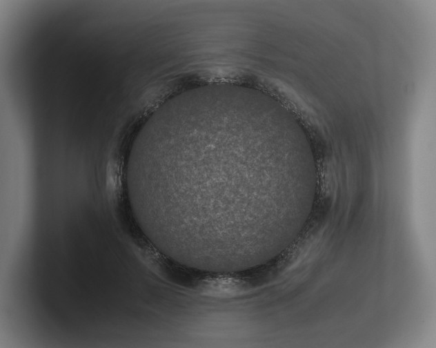 X0000101990695200807251226