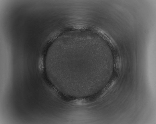 X0000101990696200807251226