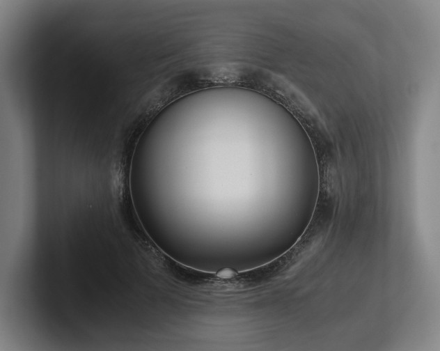 X0000101990697200807251226
