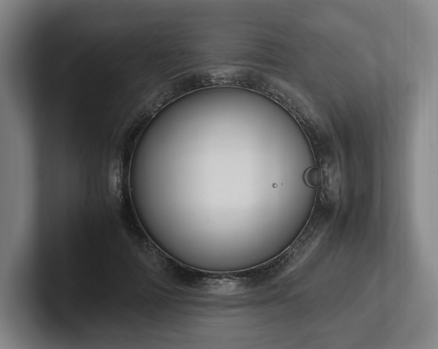 X0000101990698200807251226
