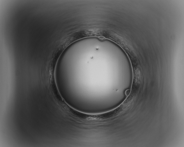 X0000101990699200807251226