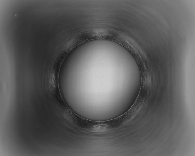X0000101990700200807251226