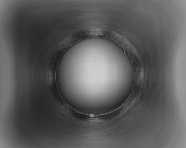 X0000101990704200807251226