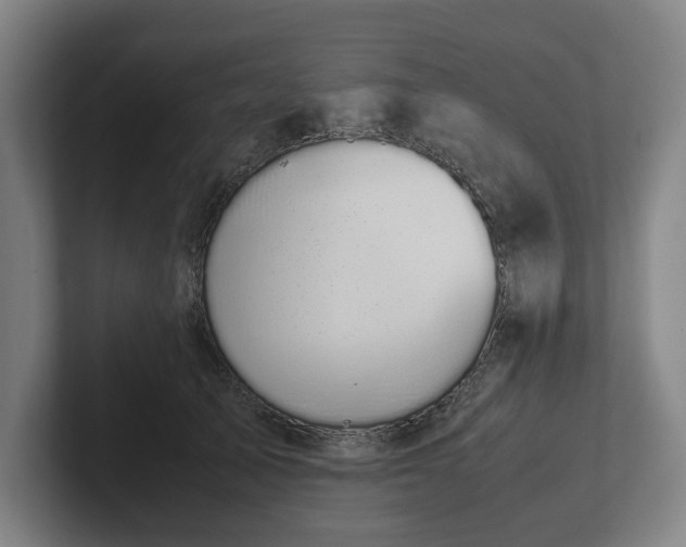 X0000101990705200807251226