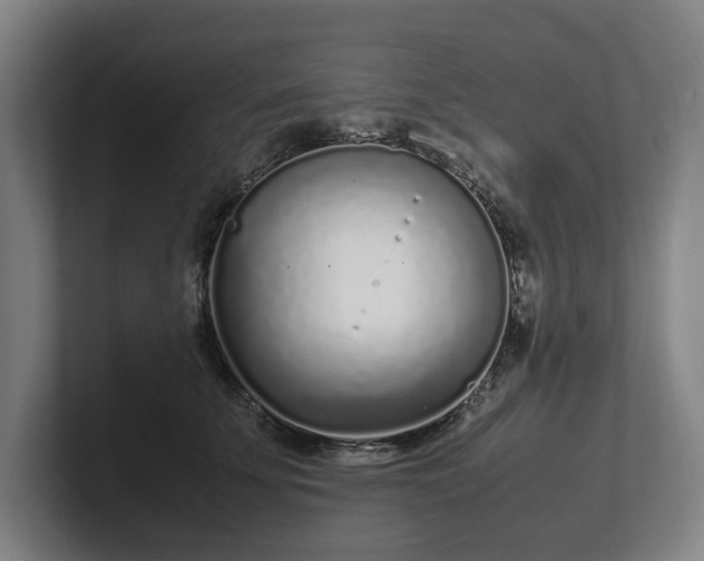 X0000101990707200807251226