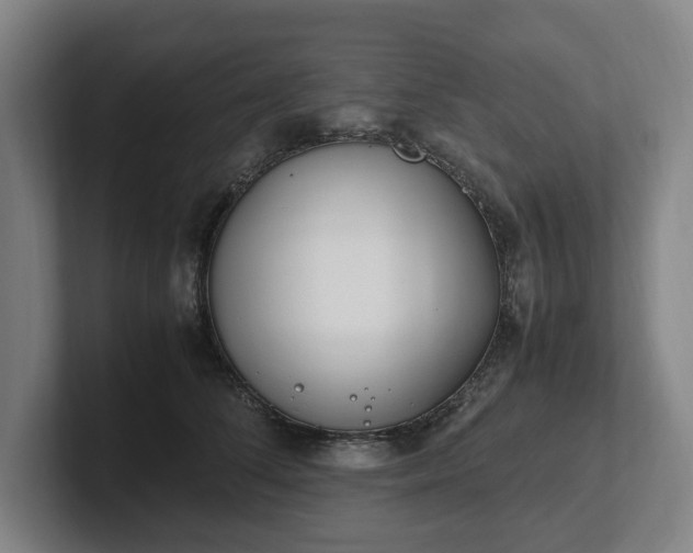 X0000101990708200807251226