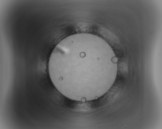 X0000101990709200807251226