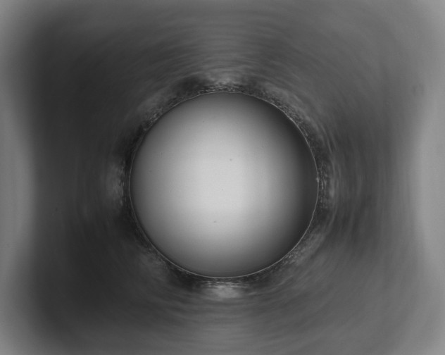 X0000101990710200807251226