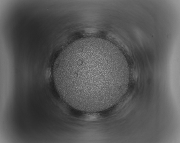 X0000101990711200807251226