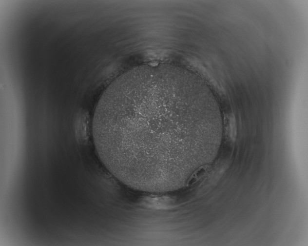 X0000101990712200807251226