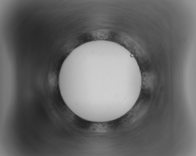 X0000101990713200807251226