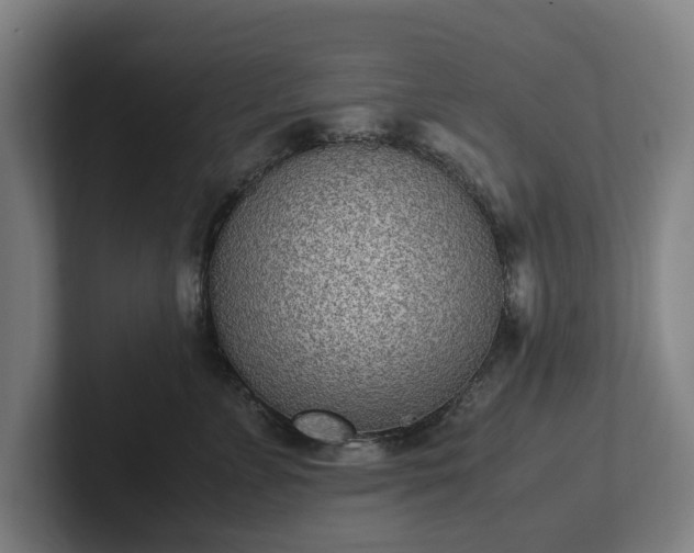 X0000101990715200807251226