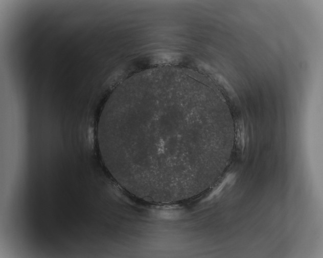 X0000101990716200807251226