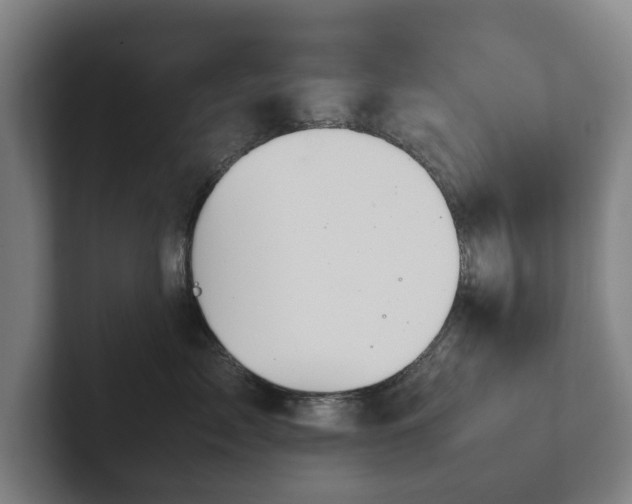 X0000101990717200807251226