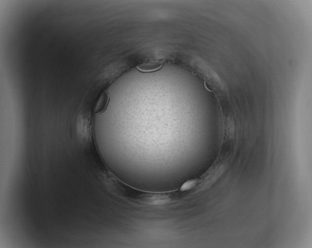 X0000101990719200807251226