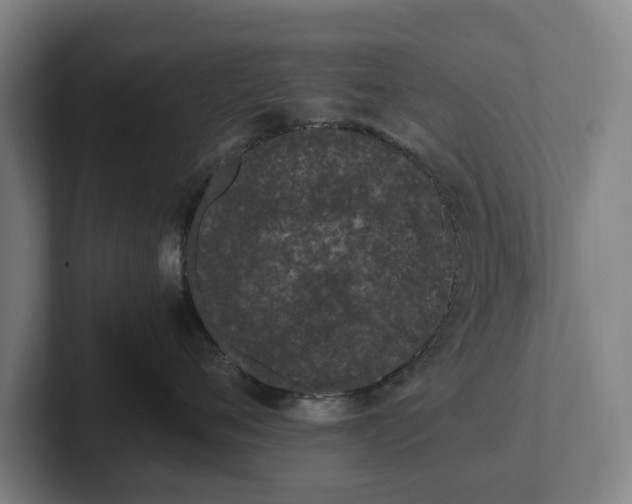 X0000101990720200807251226