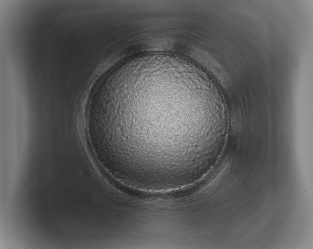 X0000101990721200807251225
