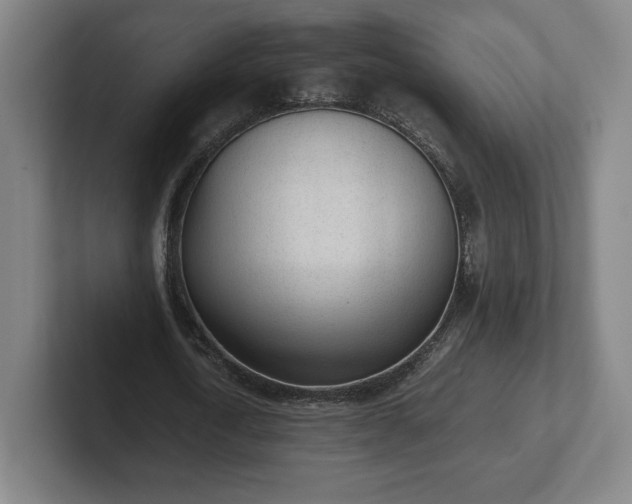 X0000101990722200807251225