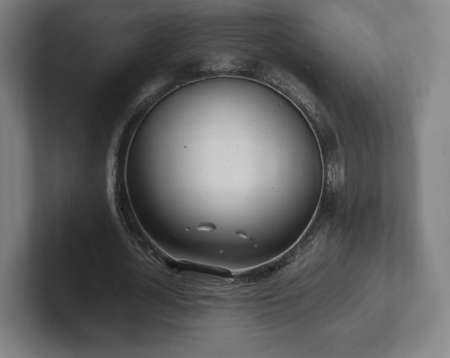 X0000101990724200807251225