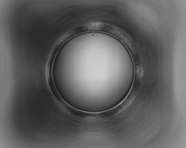X0000101990725200807251225