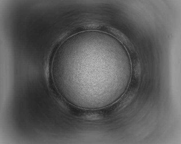X0000101990729200807251225