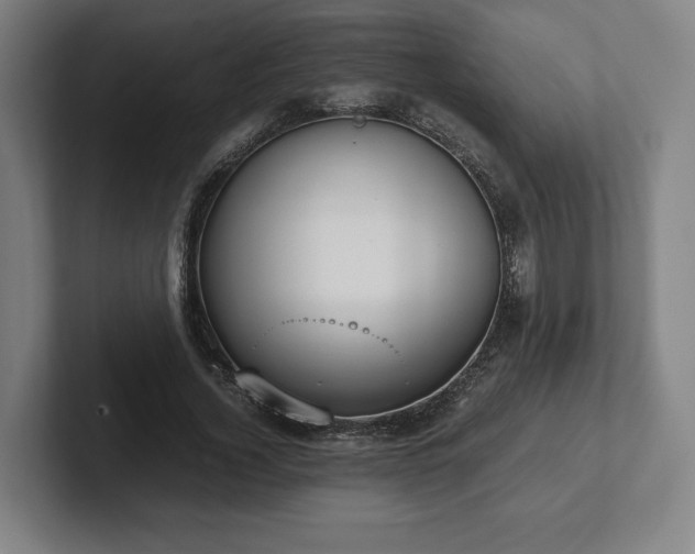 X0000101990732200807251225