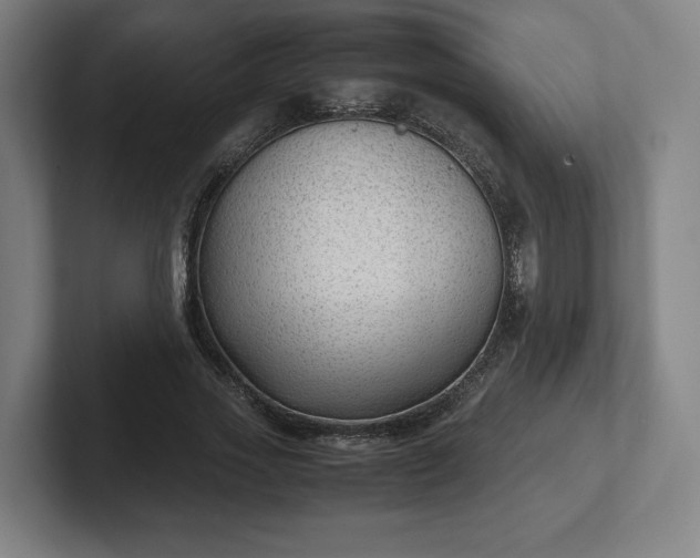 X0000101990733200807251225