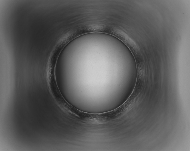 X0000101990736200807251225
