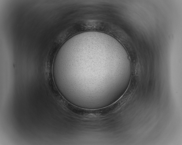 X0000101990737200807251225