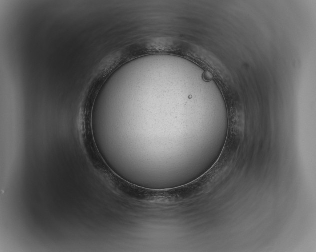 X0000101990738200807251225