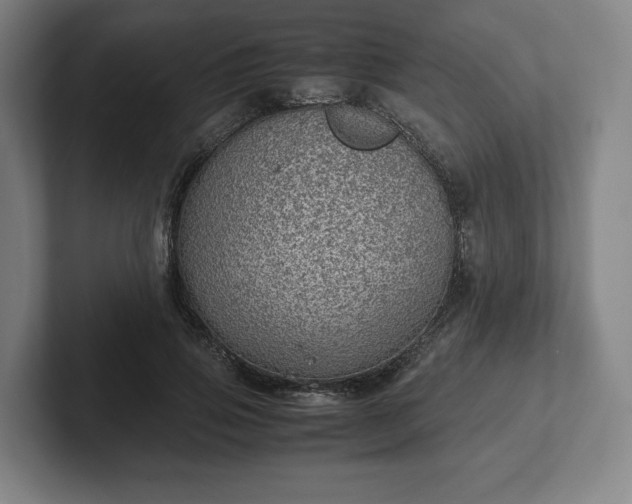 X0000101990741200807251225
