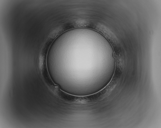X0000101990742200807251225