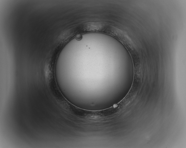 X0000101990743200807251225